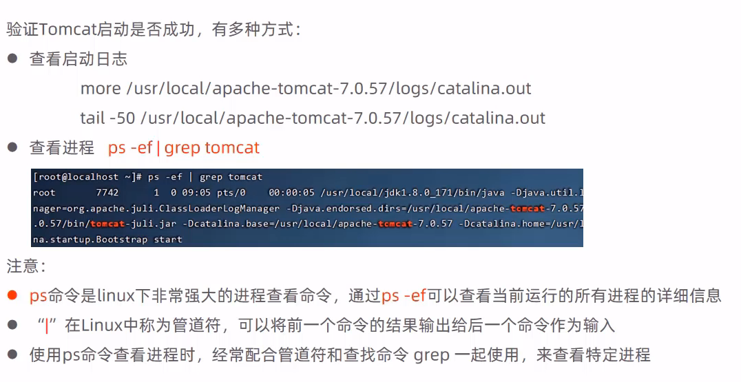 image-20240903203523949