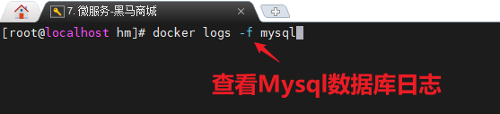 image-20241216143300550